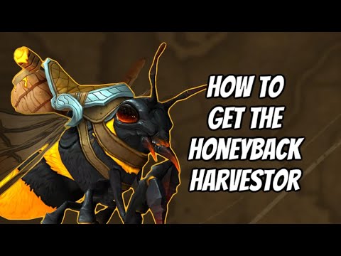 HOW TO GET THE HONEYBACK HARVEST MOUNT & A COMPLETE GUIDE TO THE HONEYBACK HIVE FACTION: WOW