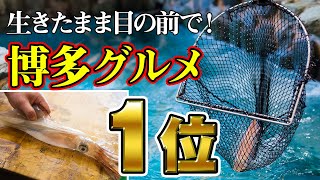 福岡 河太郎｜博多グルメの絶対王者！透明でゴリゴリのイカ刺し・生き造り！中洲本店