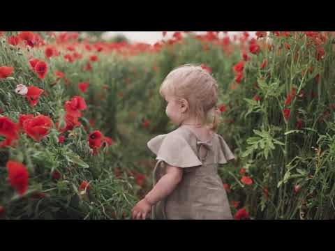 Little Girl in Poppy Field | Copyright Free Video Footage