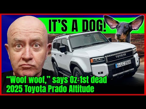 How a little water killed a 2025 Toyota Prado Altitude | Auto Expert John Cadogan