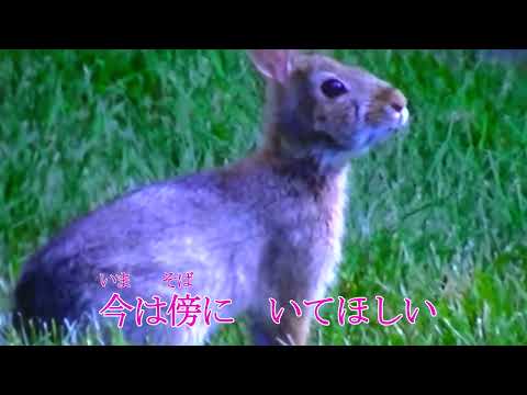 【新曲】白秋　田川寿美 オリジナル