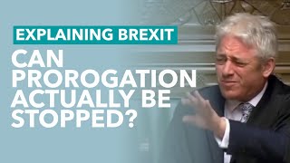 Can Anyone Stop Johnson's Prorogation - Brexit Explained