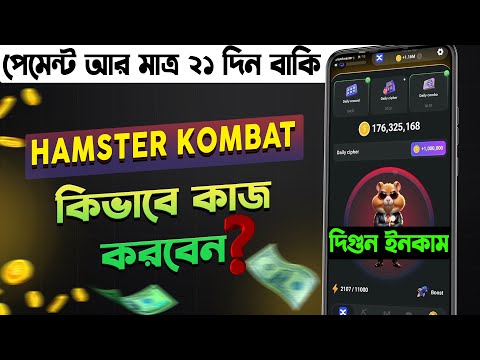 Hamster Combate কাজ করার নিয়ম |  লুফে নিন দিগুন ইনকাম । Hamster Kombat Kivabe Kaj Korben