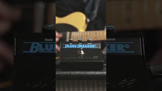 The Marshall Vintage Reissue Bluesbreaker played with a Telecaster #shorts