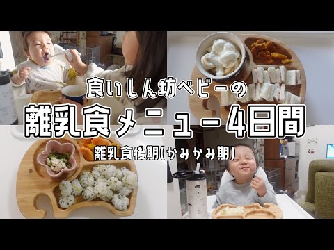 食べ過ぎ？食いしん坊ベビーの離乳食記録3食×4日間【離乳食後期/手づかみ食べ/かみかみ期/冷凍ストック】