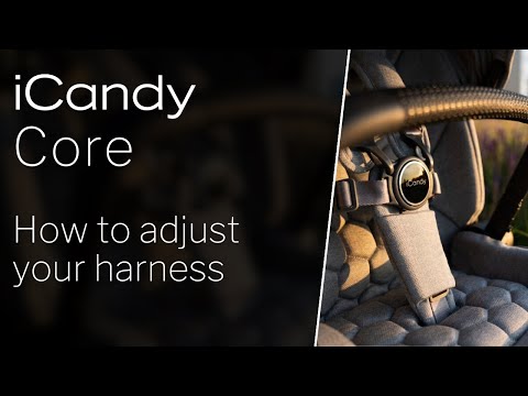 iCandy Core Pushchair - How to Adjust Your Harness