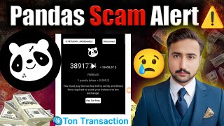 Pandas Airdrop Today Update | Ton Transaction | Bitget Exchange | Panda Airdrop Withdrawal