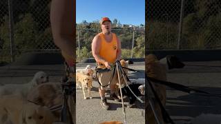 DOGEX:just say it #dogwalker #poop #dogreaction #dogsocialization #funnydogvideos #funny #dogs