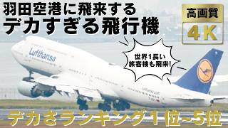 【羽田空港】羽田空港に飛来する迫力満点のデカすぎる飛行機ランキング１位～５位！超大型機のエンジン音フルマックス離着陸・地上走行をランキング形式でお届けします！