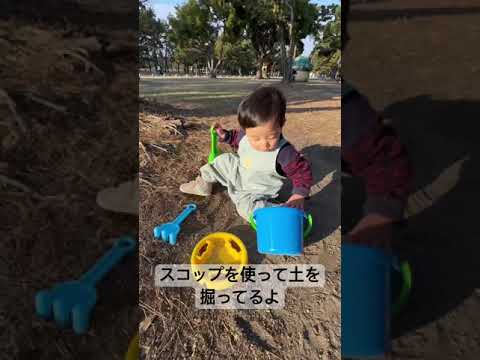 スコップを使って土を掘ってる赤ちゃん #shorts #shortvideo #short #赤ちゃん #1歳 #baby #スコップ ＃楽しい ＃お遊戯