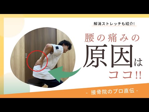 【座っていると痛くなる腰痛】座っていると痛みと痺れが出てくる。立ち上がろうすると腰痛とシビレが襲ってくる。そんな方へのストレッチ！｜接骨院のプロが教えるお家セルフケア｜テラピスト接骨院.