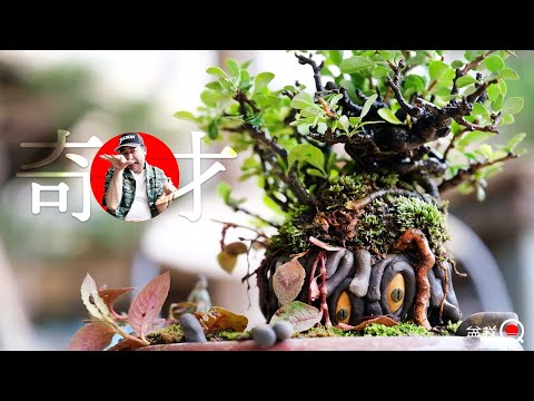 Try creating creative bonsai with Q pots and longevity plums [Bonsai Q]