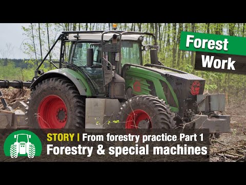 Timber harvest and forestry work with Galle GmbH | Harvester and forwarder in action | Tractors