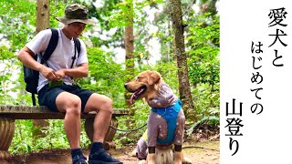 はじめての登山で愛犬の新しい行動を発見しました。