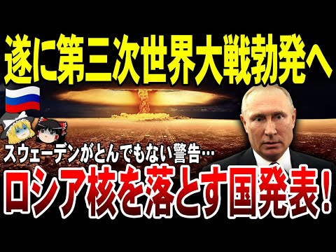 【ゆっくり解説】ロシア核使用国を発表する！