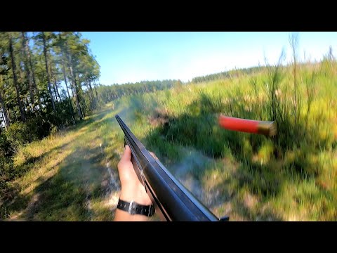 SC Deer Dog Drives Labor Day weekend: Billy, JR, & Eddie get a buck down! (Shots on camera)