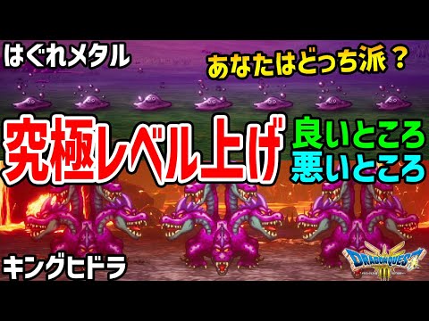 究極レベル上げ2選メリットデメリットはぐれメタルorキングヒドラ「ドラゴンクエスト3リメイクHD-2D」【金策/職業/経験値/キャラ育成/たね集め】#ドラクエ3リメイク #DragonQuest