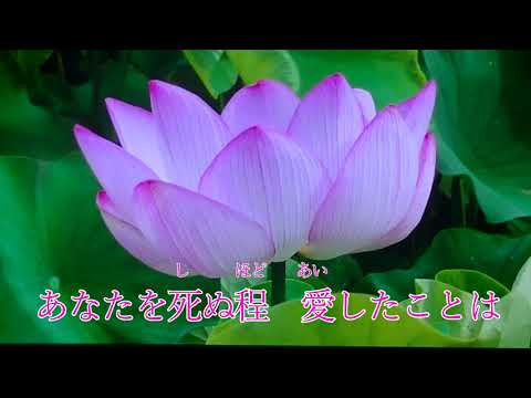 【新曲】女がひとり　カバー　藤けん太