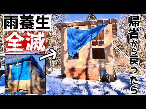 大雪の翌日に山林土地に戻ったら雨養生全滅してました…【小屋建築#19】