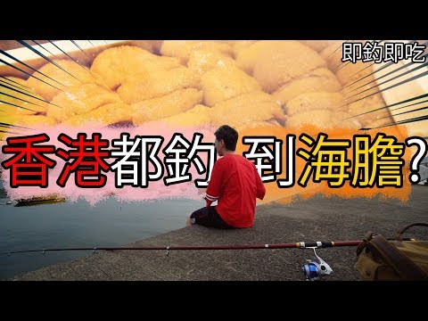 KillerSteal:  香港都釣到海膽！還要即開即食？-中字-