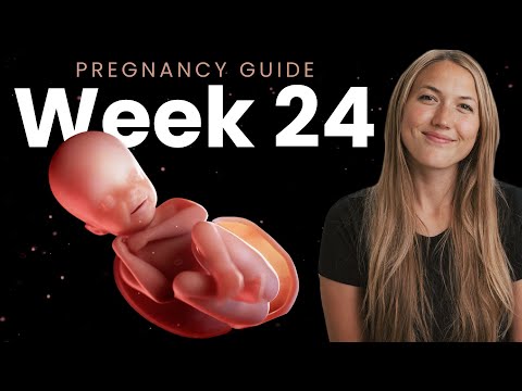 24 Weeks Pregnant | Week By Week Pregnancy