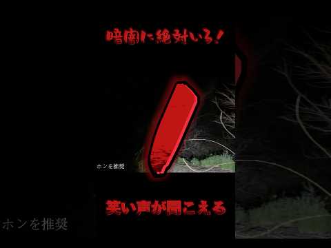 【心霊】ゾッとした体験‼️暗闇で何かが笑ってる！#心霊映像 #外国人 #怖い話