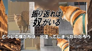 【大ピンチ】散歩中、因縁の猫と出会ってしまう！