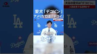 大谷の愛犬は「デコピン」 ドジャース入団会見で名前明かす