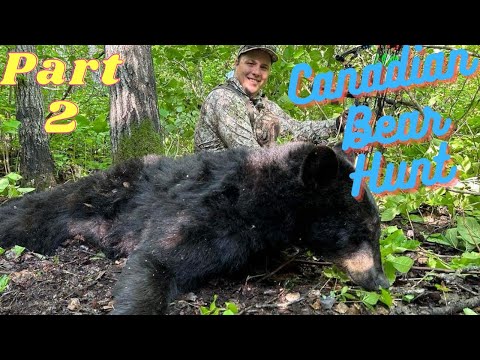 Canadian Bear Hunt (Part 2)