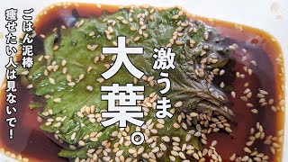 【作業時間３分】ごはん泥棒！絶品 大葉の醤油漬け