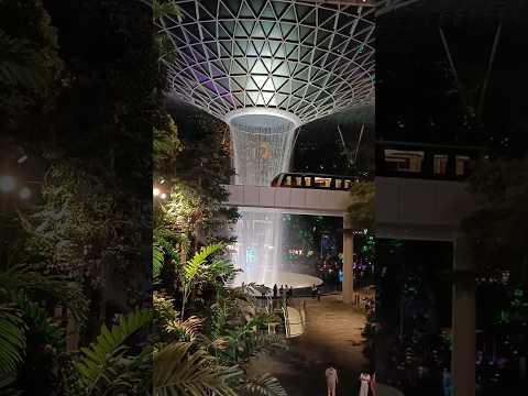 #jewel #changiairport#short  #singapore#ytshorts  #youtubeshorts#yt#ytshort