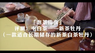 吃茶去｜「泡茶指南」评测：屯白茶——新茶牡丹（一款适合长期储存的新茶白茶牡丹）