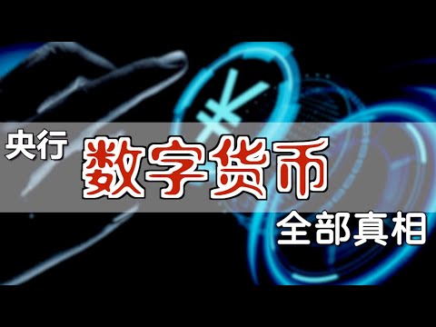 【全网最全最靠谱】关于央行数字货币，你要了解的一切【Eng Sub】Everything about China's Digital Currency