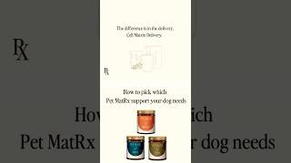 How to BioHack Your Dog #shorts #petsupplements