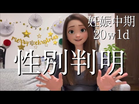 【妊娠中期】20w1d 赤ちゃんの性別がわかりました！2人で最後のXmas🎅🎄