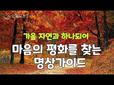 마음이 편안해지는 10분 명상 가이드 | 가을 자연 | 내면의 평화를 회복하는 힐링명상 | #만월도전 #선도명상 #명상 #힐링 #자연명상 #격언