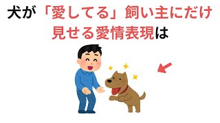 犬が「愛してる」飼い主にだけ見せる愛情表現