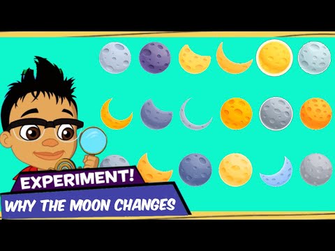 Phases Of The Moon | Why Does The Moon Change Its Shape? DIY Science Experiment | Science for Kids