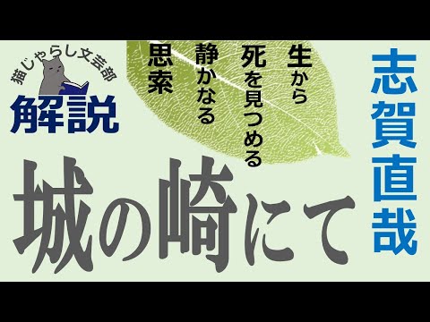 志賀直哉『城の崎にて』解説｜生から死を見つめる静かなる思索