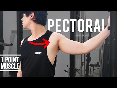 The Key Exercise to Fix Round Shoulders｜Pectoralis Stretch｜Hisdream Stretching Library