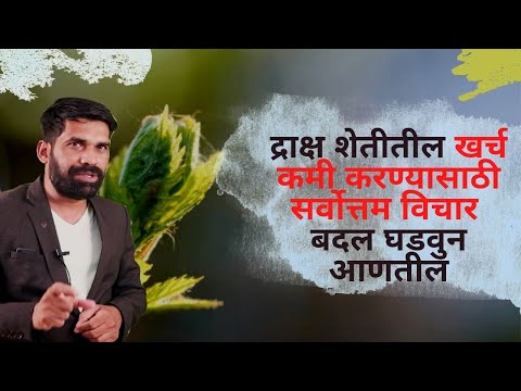 द्राक्ष शेतीतील खर्च कमी करण्यासाठी सर्वोत्तम विचार जेबदल घडवुन आणतील