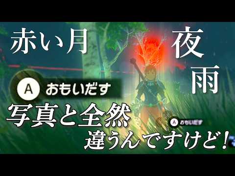 はじめてのウツシエの記憶。なんだか悲しい感じだった【ゼルダの伝説 ブレスオブザワイルド】#38