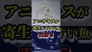 【30秒釣り雑学】アニサキスが寄生しやすい魚トップ５　#shorts