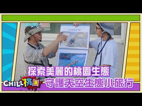 CHILL桃園 NO47-探索美麗的桃園生態 守護天空生態小旅行