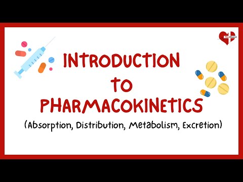 What is Pharmacokinetics? | The ADME Process | Introduction to Pharmacokinetics