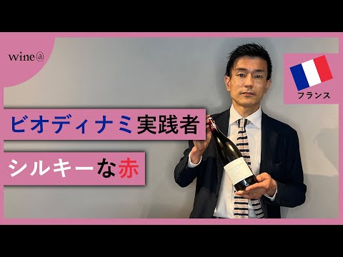 【ビオディナミ実践者】アラン・ビュルゲ / ジュヴレ・シャンベルタン サンフォニー（フランス）