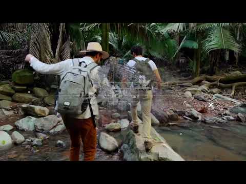 Ruta Arqueológica del Rey - Valle Nayarit