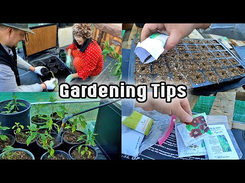 Seed Starting And Potting Plants | Gardening Tips That Work!