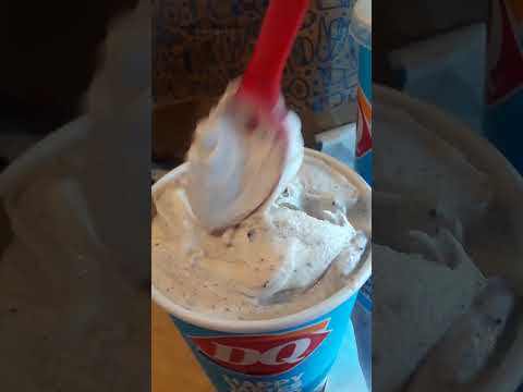 Oreo Blizzard