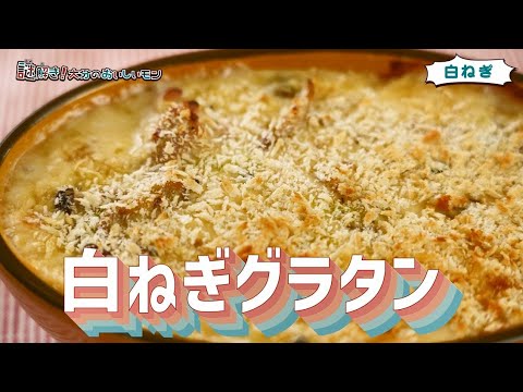 【県産食材レシピ】白ねぎグラタン